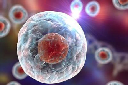 Babio стартира висококачествен Giemsa Stain B разтвор за напреднала цитогенетична и хематологична диагностика