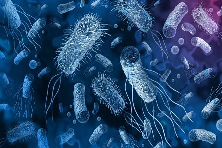 Babio стартира Vibrio cholerae бързо откриване на антиген