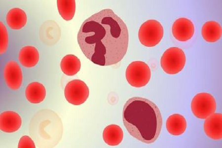 BABIO пуска HBcAb Hepatitis B Core Ab бърз тест за глобалните пазари